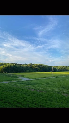 おすすめのアカウント