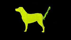 231 reactions · 230 shares | Becky lost her sight when she was a teenager and became more and more isolated, but everything changed when she met her guide dog Hattie. Please watch and share guide dog owner Becky’s inspirational story for #GuideDogsWeek #LetsGlow. Read more about Becky and Hattie by visiting: bit.ly/1JS5sIl. | Guide Dogs UK | Facebook