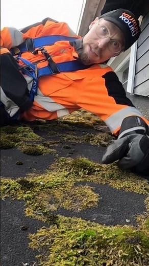 Uskomattoman nopea sammaleen poisto huopakatolta, harjaus ja aine pintaan