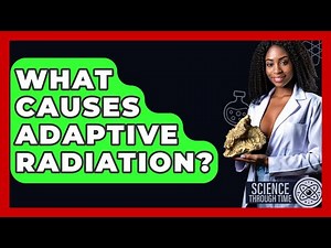 What Causes Adaptive Radiation? - Science Through Time