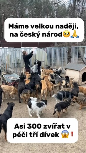🚨 TOTO NENÍ PŘEHÁNĚNÍ. JDE O ŽIVOTY. 🚨 Úřady chtějí zavřít útulek Věrný ocas. Místo, kde zvířata neumírají potichu. Místo, kde dostávají šanci žít. 🐾 U nás jsou zvířata, která byla vyhozena jako odpad. Zbitá. Nemocná. Zraněná. Bez nás nemají kam jít. ⚠️ Pokud útulek zavřou, tato zvířata nezmizí. Oni zemřou. 👉 Nechceme peníze. Neprosíme o dary. Žádáme jen jeden podpis. 📄 Petice za záchranu útulku běží. ✍️ Potřebujeme 50 000 podpisů. ⏳ Čas se krátí. Každý nepodepsaný hlas je ticho. Každý podp