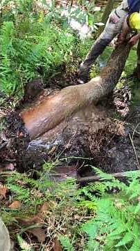 Celebrity Wardrobe Malfunctions Gone Viral 😱👗