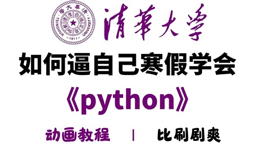 【全648集】清华大佬终于把Python教程讲成动画片了！2026最新版，教学通俗易懂，学完即可就业！拿走不谢，别再走弯路了，学不会我退出IT界