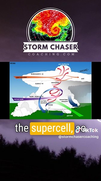 Click the link in our bio and join the FREE Discord community! Learn to identify the critical