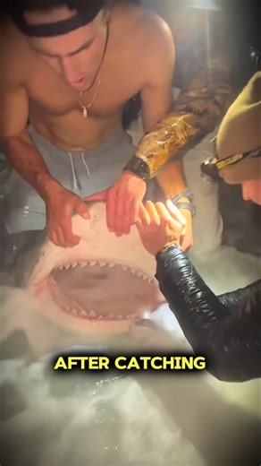 He Never Returned Home...