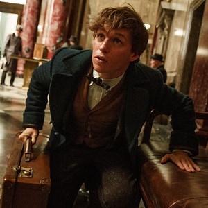 J.K. Rowling Explains Connection Between Albus Dumbledore and Newt Scamander in Fantastic Beasts