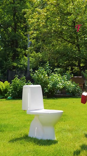 12K views · 26 reactions | DIY garden makeover tips. #FabiosaLifehacks Gardening & Plants #Fabiosa #GardenDIY #UpcyclingIdeas #OutdoorMakeover #CreativeGardening #DIYDecor | Tips & Tricks | Facebook