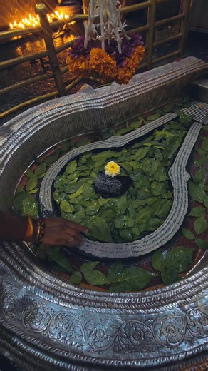 Om namah shivay 🙏❤️ | Aadya Shakti