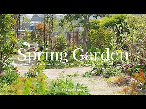 Garden in early April * A spring garden decorated with bright and cute flowers * Gardening