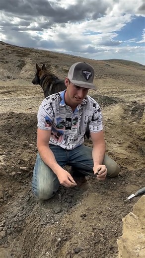 43K views · 743 reactions | #fossils#mistreated | The Lost Bone Journal | Facebook