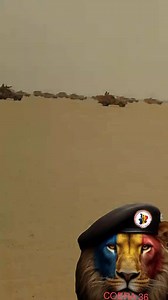 ‼️ #Tchad_FACT: Ils ont besoin de nos encouragements et de notre soutien. Ils ont quitté leurs familles, leurs proches, leurs amis et même leur travail pour aller dans le désert, portés par l’espoir et le courage. Vérité | Vérité