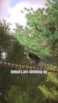 Let's tour Safaripark #BeekseBergen in #PlanetZoo! (part 7)