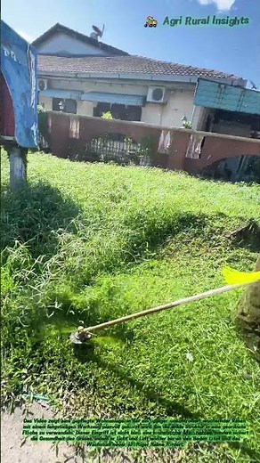 🌿 Grünes Chaos im Zaum: Warum das Zurückschneiden den Garten zum Leben erweckt