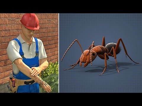 First Aid - Fire Ant Bites and Stings Training
