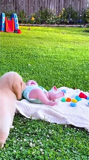 Cute baby, cute dog 🍼😍 #cute #dog #baby #funny #love