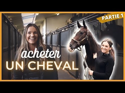 Acheter un cheval - Étape 1 : Cibler sa recherche