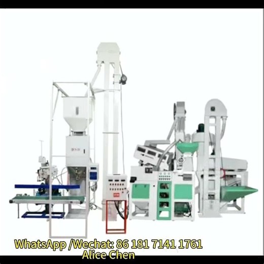 Automatic Grain Packing Scale Working | DCS Weighing and Bagging Machine #grainprocess #ricemilling