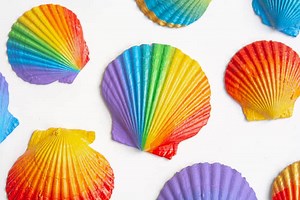 Seashell Painting | How to Paint Seashells