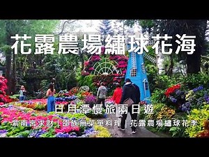 花露農場繡球花季🏵️｜日月潭兩天一夜慢旅｜紫南宮求財流程全公開｜玄光寺雨景超夢幻｜入住力麗哲園飯店｜挑戰邵族金牌美食 #旅行 #travel #日月潭 #南投 #紫南宮 #發財金 #苗栗花露休閒農場