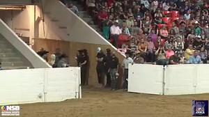 I want to thank everyone who has been sending messages of appreciation after our freestyle last night. First of all, I could not be more proud of Chloe, or more pleased with how she handled herself in that Coliseum last night. She was an absolute rock star. I was riding for many reasons last night, but my main goal was to guide Chloe through a clean, soft, relaxed ride, and to make it a good experience for her, and that is what she gave me. She tried her little heart out, stayed with me every st