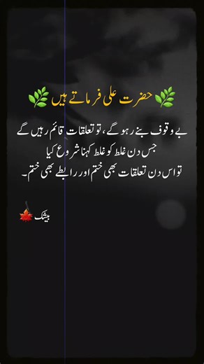 Aesthetic Islamic Quotes from Hazrat Ali