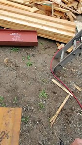 25K views · 291 reactions | When you dive back in head first. Ya...