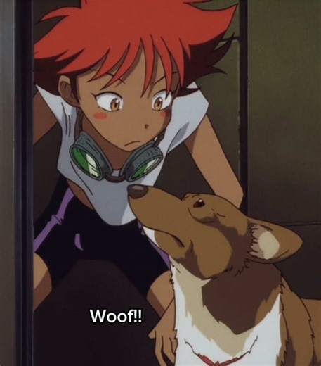 Cowboy Bebop Inspired Costume Ideas and Tips