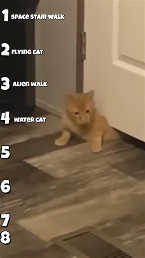 Funny Alien Cats2