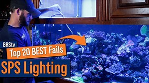 Reefers looking for the secrets to growing a reef tank FULL of SPS Corals must see this episode! Ryan and Randy drop a ton of reef tank lighting knowledge specific to saltwater tanks that are jam packed with SPS corals and sticks. Watch our other failures and mistakes all in one place: ➡ https://brs.li/BRStv_TopReefing_Mistakes | Bulkreefsupply.com - Saltwater Aquarium Supplies | Facebook