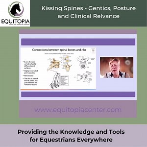 Kissing Spines - A Comprehensive Overview from Diagnosis to Rehab...