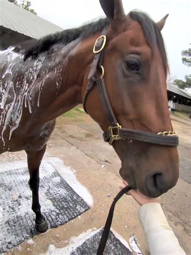 What We Love About Class President