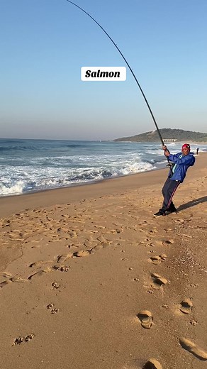 Salmon and Shad Fishing in Durban South Africa