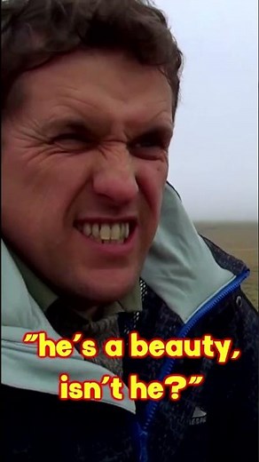 West Country Accent Explained! Cornish Dialect Training