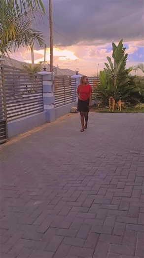 logistic manager (@chatogo7)’s videos with original sound - user88749555207