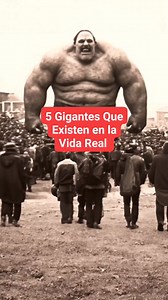 Gigantes Humanos Que Realmente Existen en la Vida Real. John William Rogan. #Gigantes #personas #hombremásaltodelmundo #desafios #inspiracion #superacion #récordsguinness #tendencia #viral | GoldenTube Tops