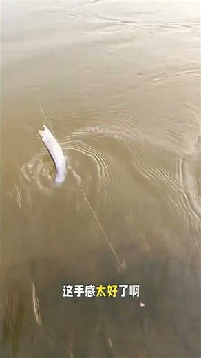 Catch the Summer Flavors: Best Lure Fishing Tips for Summer