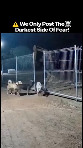 Mr.DarkifyX – Real-Life Nightmares | ⚠️🌍 The Deadliest Clips Ever Recorded — Part 64 ☠️ (It was over in a blink.) These clips show disasters that struck without hesitation. 🌊... | Instagram