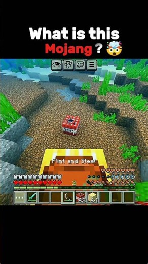 Minecraft explain this....🤯#Minecraft #gamerfleet #Technoblade #yessmartypie