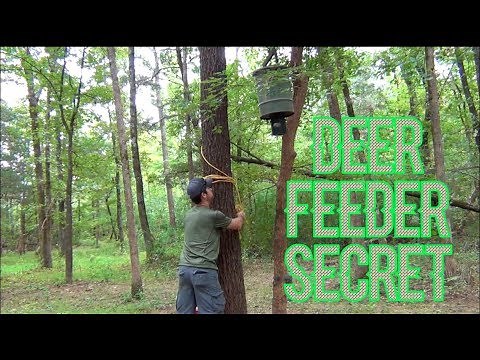 DEER FEEDER SECRET!