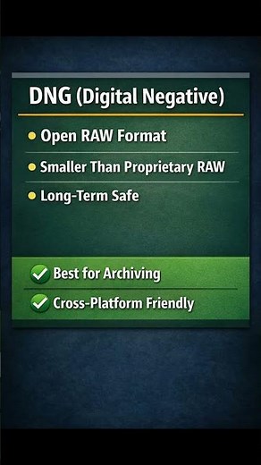 photography file formats explained #raw #jpeg #fileformats #photography