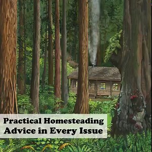 Topics covered in Backwoods Home Magazine: • Farm and garden • Food and recipes • Raising animals • Building/Projects • Making a living • Preparedness • Self-reliance • Canning And more... | Backwoods Home Magazine