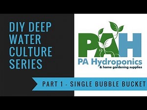 Watch this before you build a deep water culture (DWC) bubble bucket - PA Hydroponics