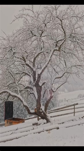 59K views · 1.9K reactions | Mountain living is all about slowing down, connecting with nature, and sharing good food with family. | Country Food | Facebook