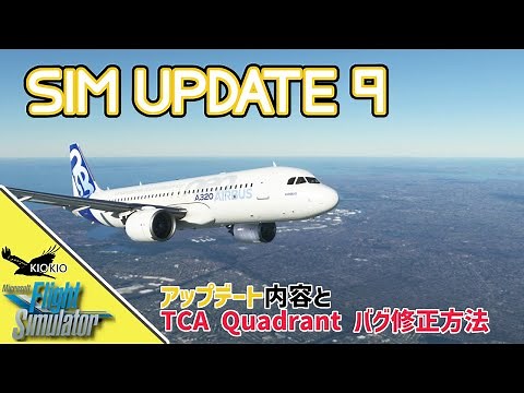 SIM Update 9 がやってきた 設定変更まとめ【MSFS 2020 :共通】