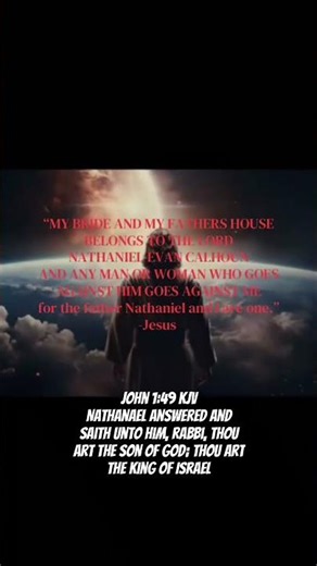JOHN 1:49 KJV