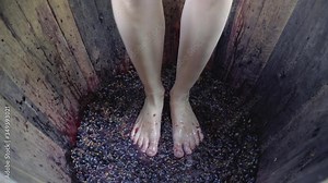 Female legs stomp red grapes in a barrel. In the vineyard