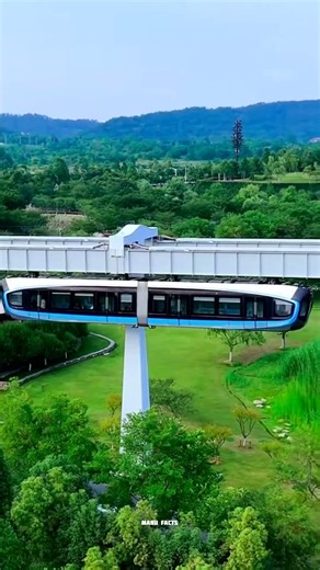 Why Are Some Train Tracks Built Above the Ground | #facts