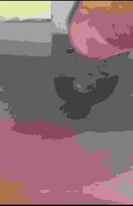 I tackled common tree pruning issues