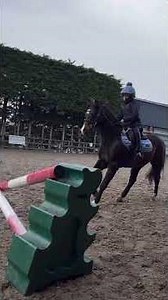 Jack loves to jump! #horse #equestrianjourney #pony #equestrian #horseriding