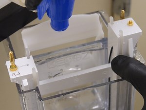 Gel-seq: A Method for Simultaneous Sequencing Library Preparation of DNA and RNA Using Hydrogel Matrices